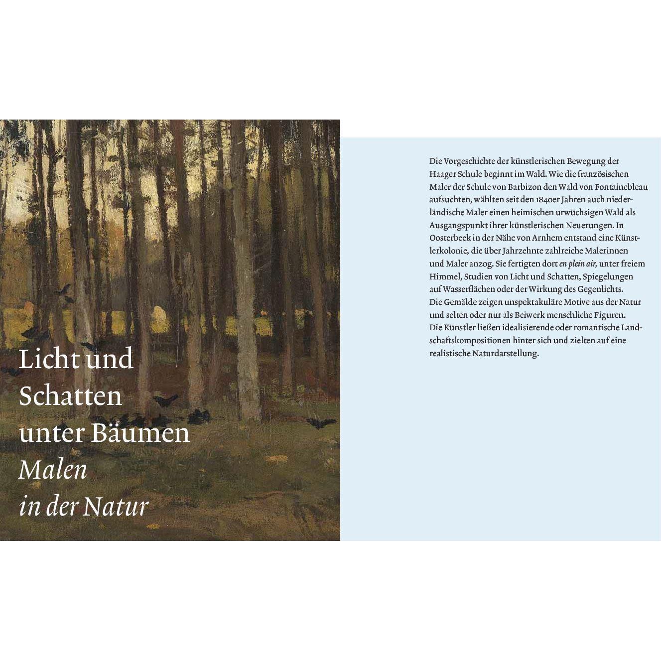 Thumbnail - Wolken und Licht, Sachbücher von Michael Philipp, Ortrud Westheider, Daniel Zamani