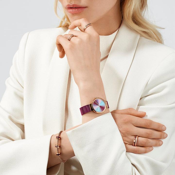 Image du produit Bering Anniversaire (Horloge analogique, 31 mm)