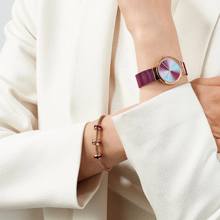 Image du produit Bering Anniversaire (Horloge analogique, 31 mm)