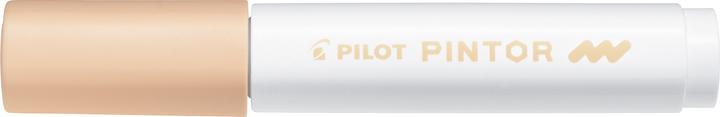 Actual product image Pilot Pintor Fine pastel