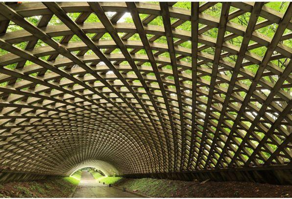 Actual product image Canon RF 24mm F1.4L VCM - (EU) (Canon RF, full size)