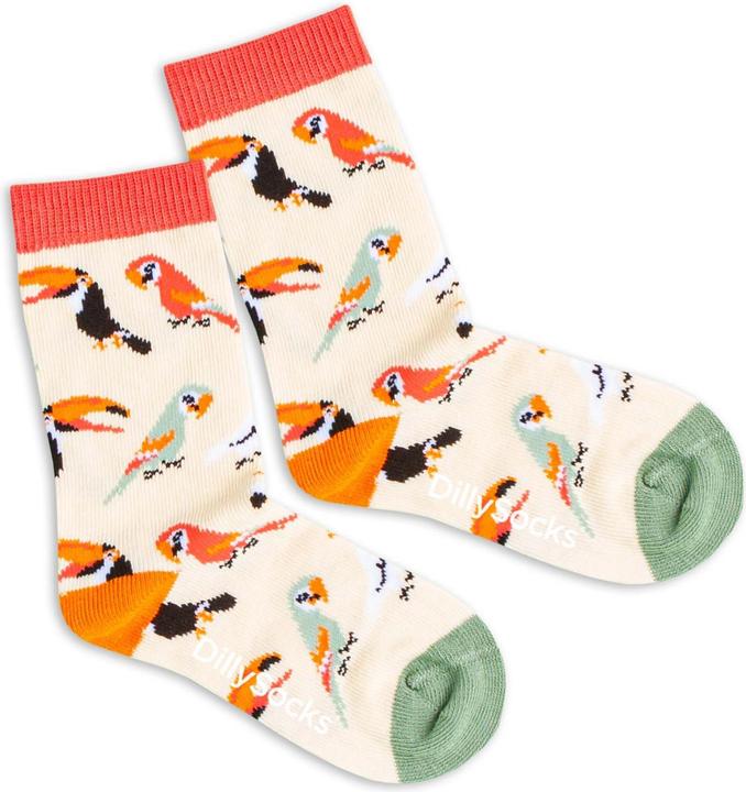 Immagine prodotto DillySocks lil Sand Aviary (Confezione singola, 19 - 22)