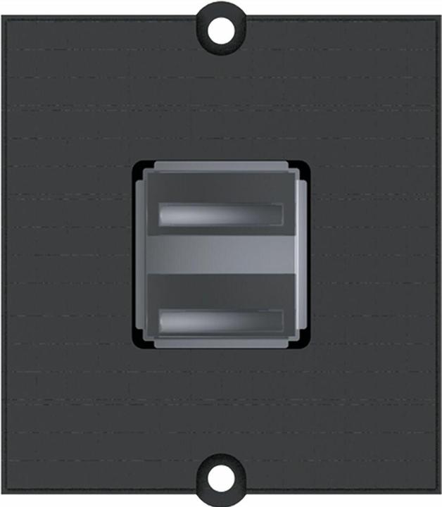 Actual product image Bachmann Custom module Modular faceplateSnapIn USB 2
