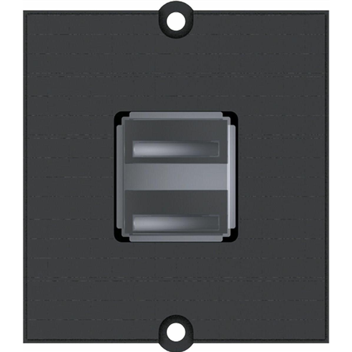 Thumbnail - Bachmann, Steckdose, Custom module Modulares FaceplateSnapIn USB 2