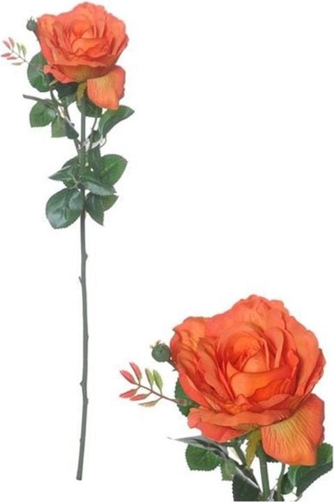 Actual product image Chalet Rose (66 cm)