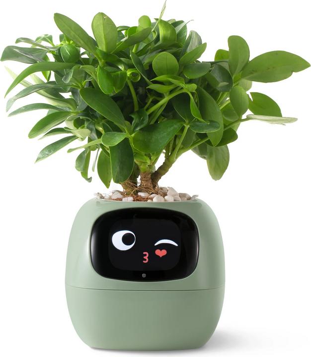 Productafbeelding Plantsio Ivy Smart Planter (10.01 cm)