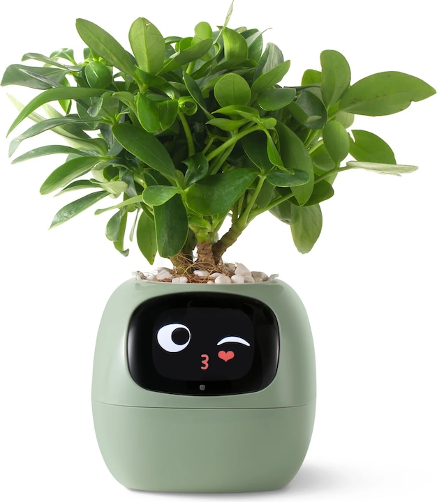 Produktbild Plantsio Ivy Smart Planter