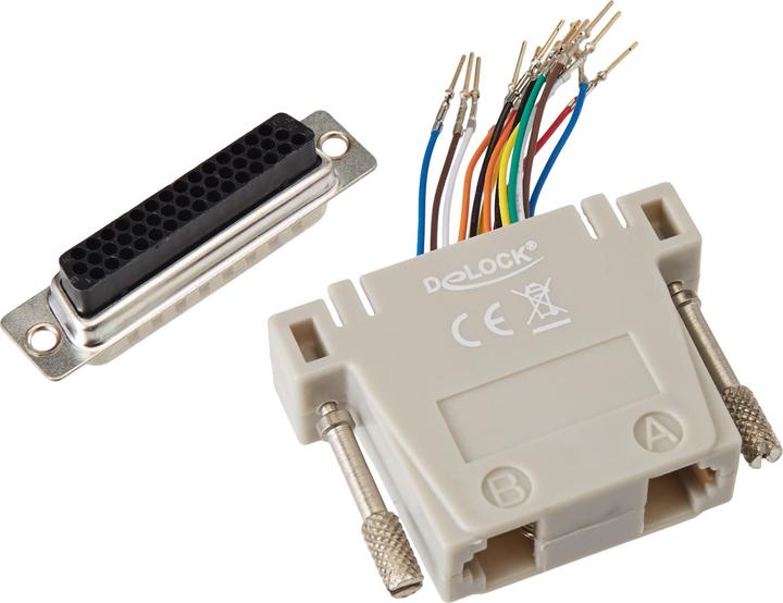 Actual product image Delock D-Sub HD 44 pin crimp male to 2 x RJ45 female with mounting kit beige