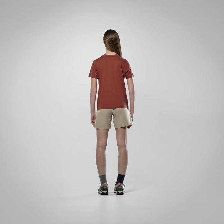 Immagine prodotto Salewa Eagle 3Cime T-Shirt W (32)