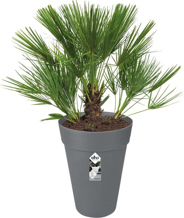 Image du produit Elho Loft urbain (33.50 cm)