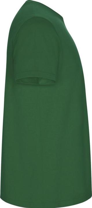 Actual product image Alpinia Mens Stafford T-Shirt (L)