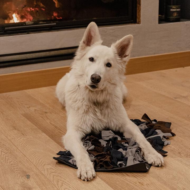 Actual product image Red Dingo DINGO sniffer toy - 60x40 cm (Plush toy dog)