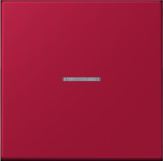 Produktbild JUNG Taster