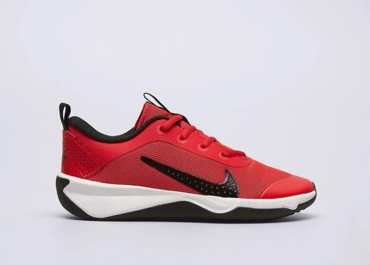 Actual product image Nike Kid's Omni Multi-Court (40)