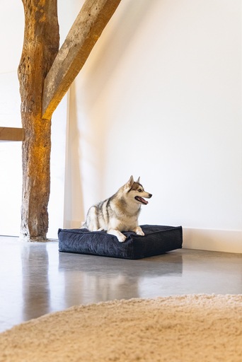 Image du produit Designed by Lotte Coussin de couchage Ribbed (Chien)
