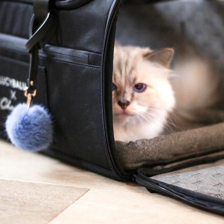 Produktbild LucyBalu CHECK-IN Katzentransporttasche | Choupette Edition (Katze, Waschbar)