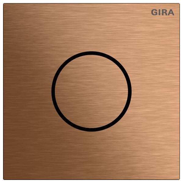 Gira Sprachmodul (5563921)