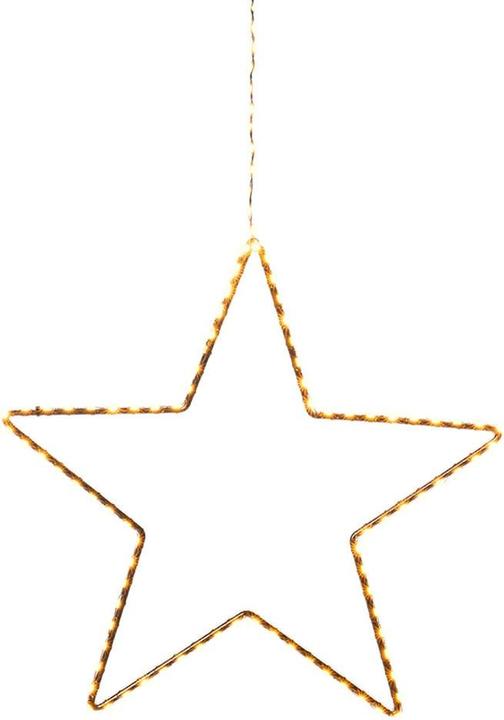 Immagine prodotto STT Storno giavanese