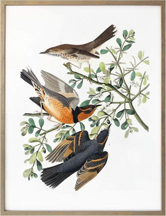 Immagine prodotto Trenddeko Tre strozzatori (40 x 50 cm)