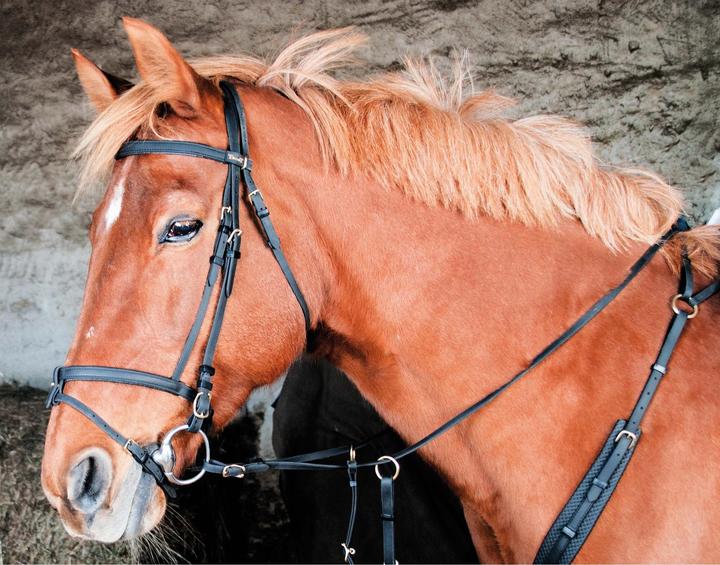 Actual product image TdeT Biotack®