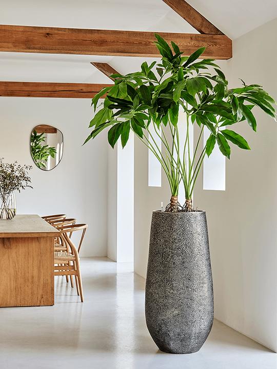 Produktbild Baq Design Opus Hit Darcy (46 x 100 cm)