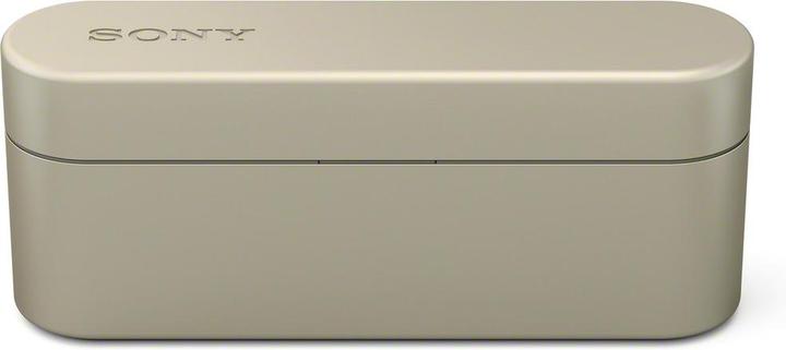 Actual product image Sony Wf-1000x (ANC, 3 h, Wireless)