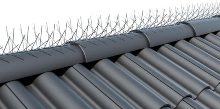 Image du produit Astrein Taubenabwehr-Spikes
