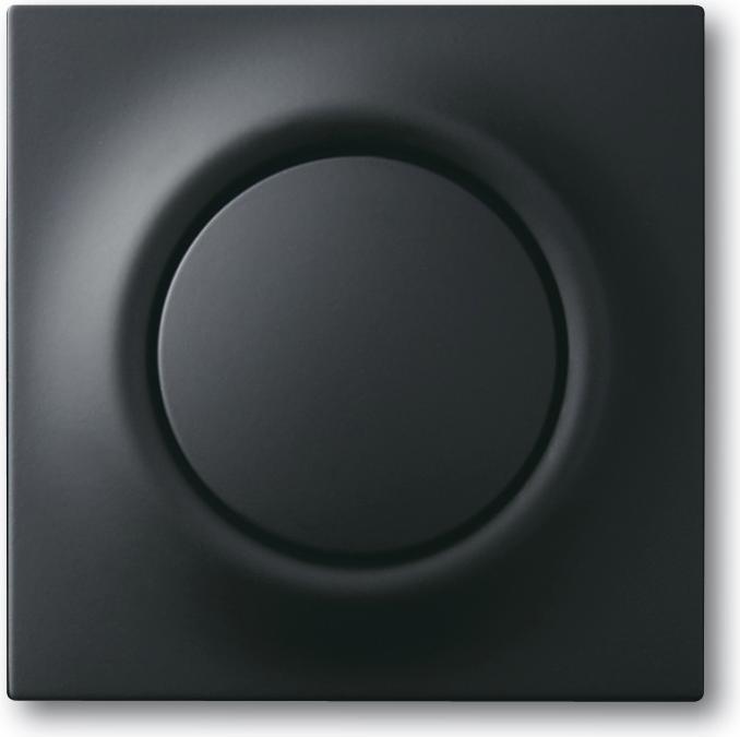 Produktbild Busch-Jaeger Zentralscheibe