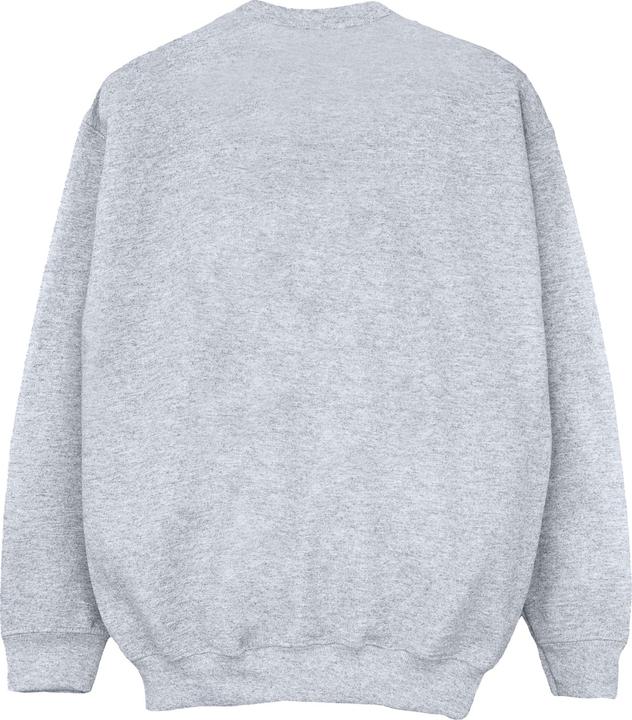 Actual product image Nasa Girls Distressed Logo Cotton Sweatshirt (128)