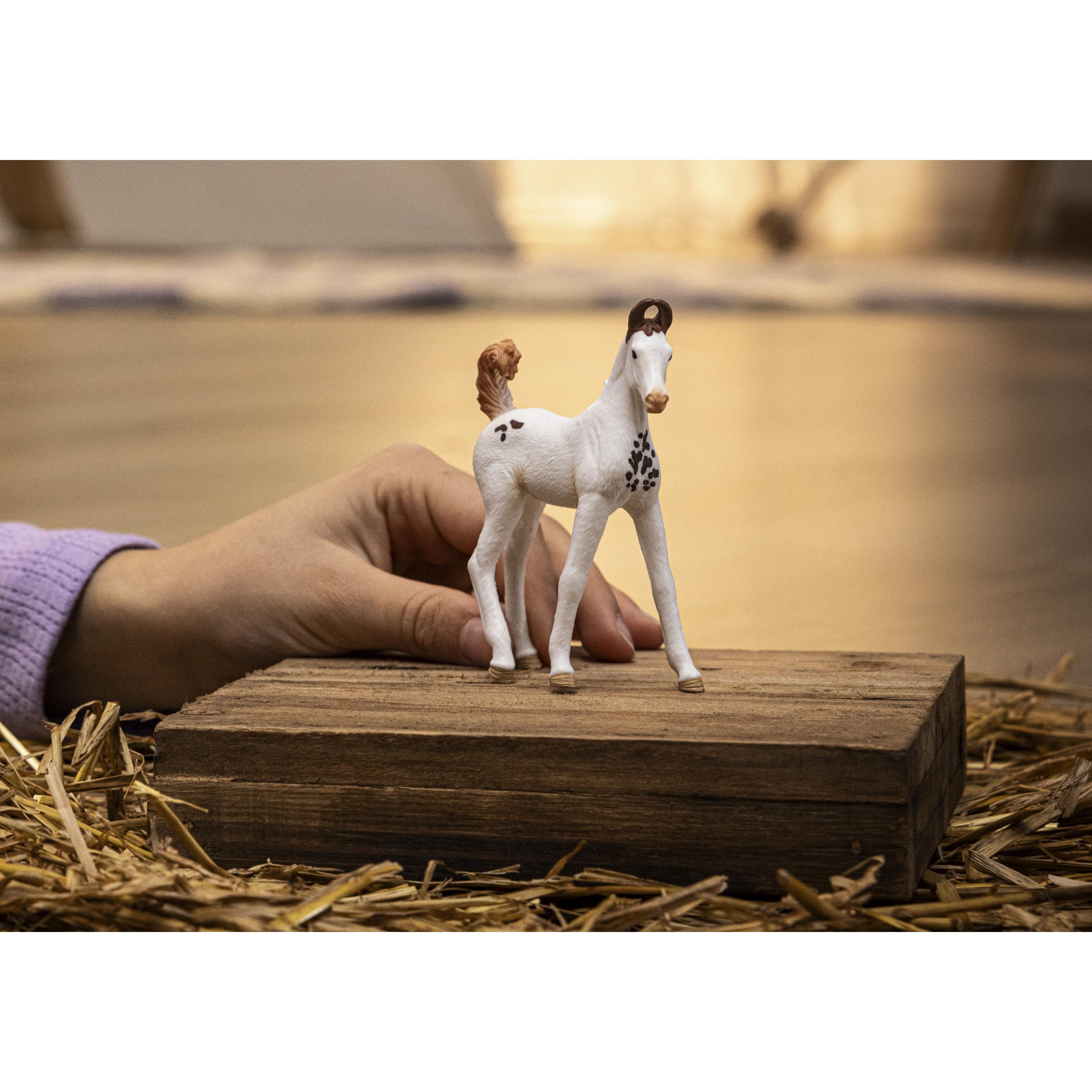 Thumbnail - Schleich Marwari Fohlen