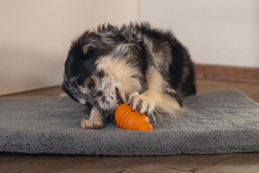 Image du produit Beeztees Sumo Play (Jouet à mâcher pour chien)