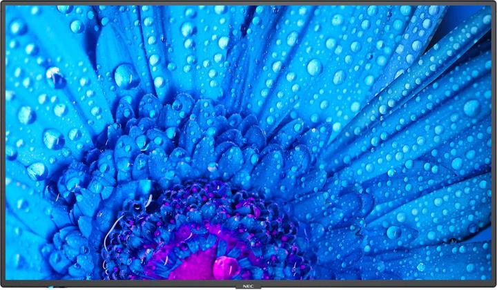 NEC Monitor di grande formato MultiSync M651 65 pollici UHD 500cd (3840 x 2160 pixel, 65")