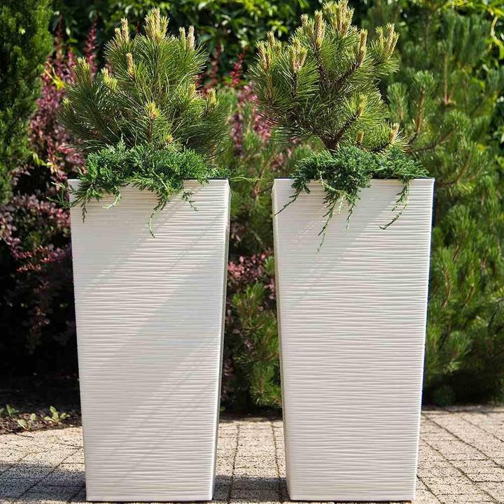 Image du produit Siena Garden Modern (25 cm)