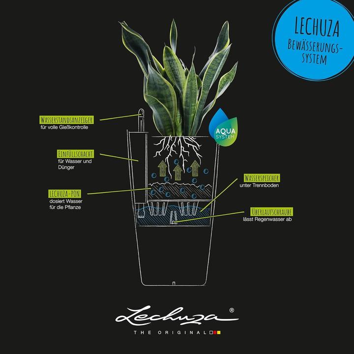 Produktbild Lechuza Cubico Color (39.50 cm)