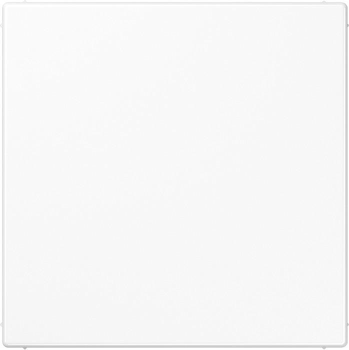 Actual product image JUNG Blind plate