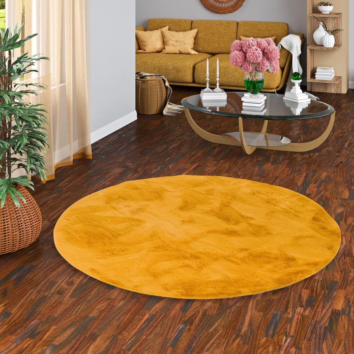 Image du produit Pergamon Tapis en fourrure de luxe Super Soft Plush Rond (160 x 160 cm)