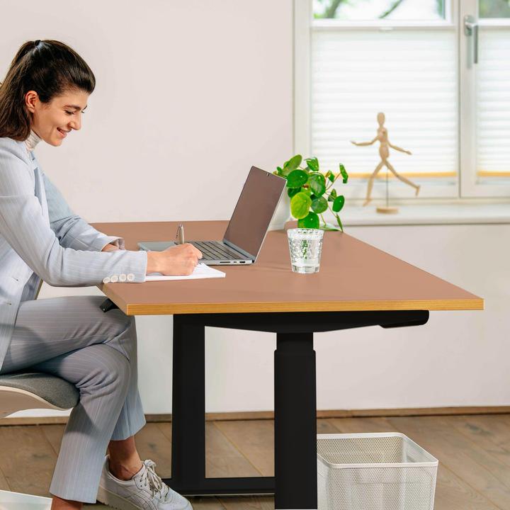 Actual product image ofinto Rise