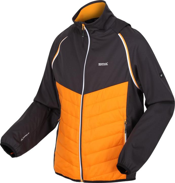 Produktbild Regatta Steren Hybrid Softshelljacke (S)