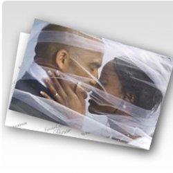 Actual product image Fujifilm 1x2 CA type DP II digit. 12.7cm x 167.6m silk (Special, 1 x)