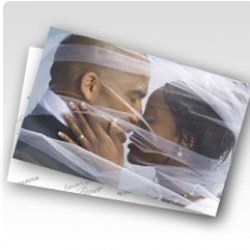 Actual product image Fujifilm 1x2 CA type DP II digit. 12.7cm x 167.6m silk (Special, 1 x)