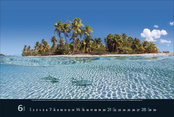 Produktbild Wilde Tiere - weite Landschaft 2026