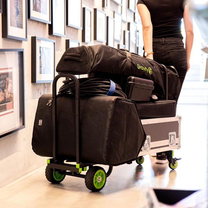 Productafbeelding Gravity Cart M 01 B Multifunktionswagen (150 kg, 1)