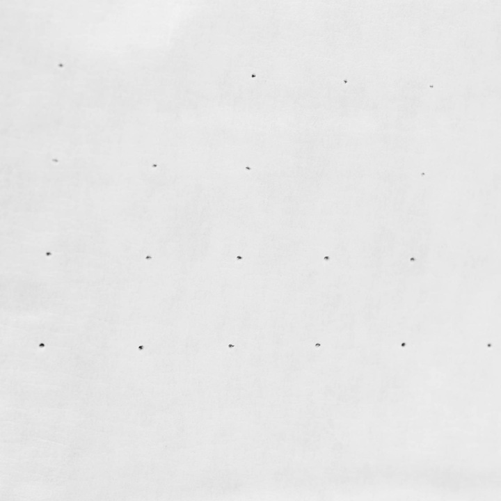 Produktbild Foodpol - Service Bindemittel für Pellets Pelletproduktion 20 kg Weizenstärke 5,5 - 7,5 pH (22 kg)