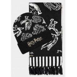 Produktbild Harry Potter: Wizards Unite Giftset (Beanie & Scarf) (One Size)