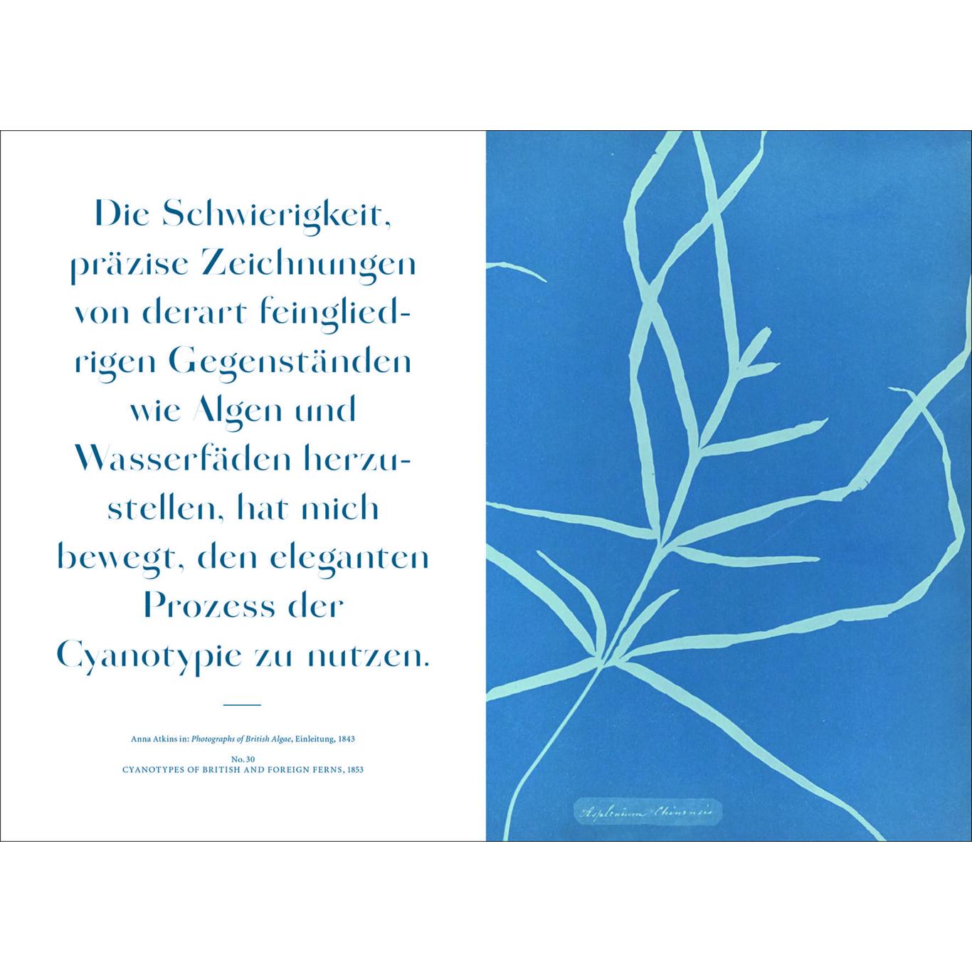 Thumbnail - Anna Atkins, Sachbücher von Rolf Sachsse