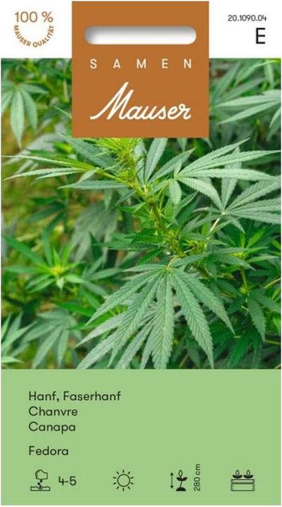 Samen Mauser Hanf, Faserhanf Fedora (Pflanzensamen)
