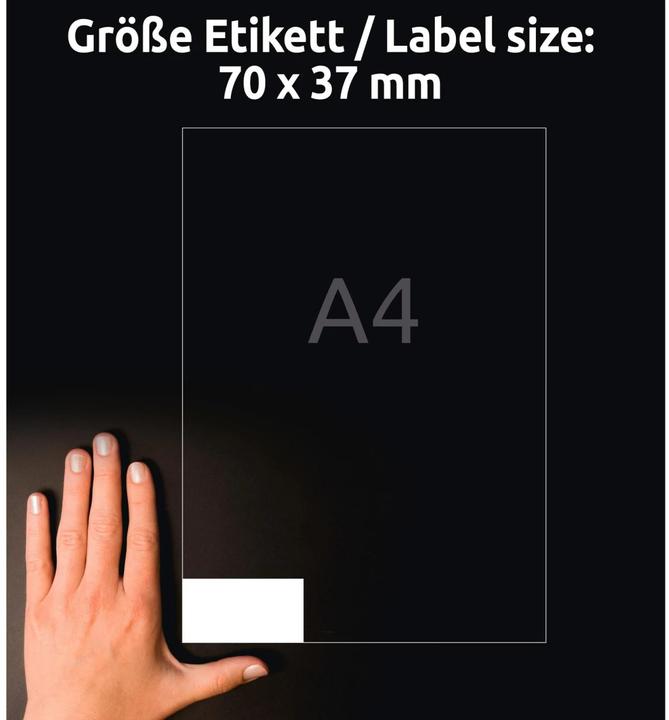 Actual product image Avery Weatherproof film labels