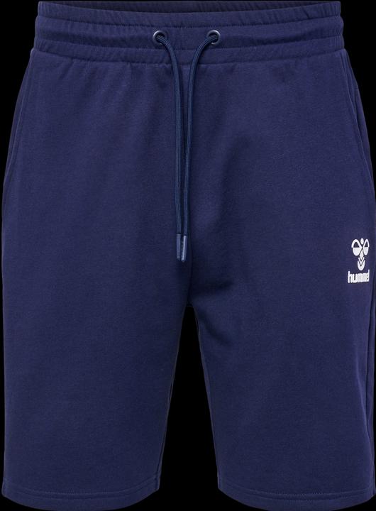 Actual product image hummel Hmlicons Regular Shorts (XXL)