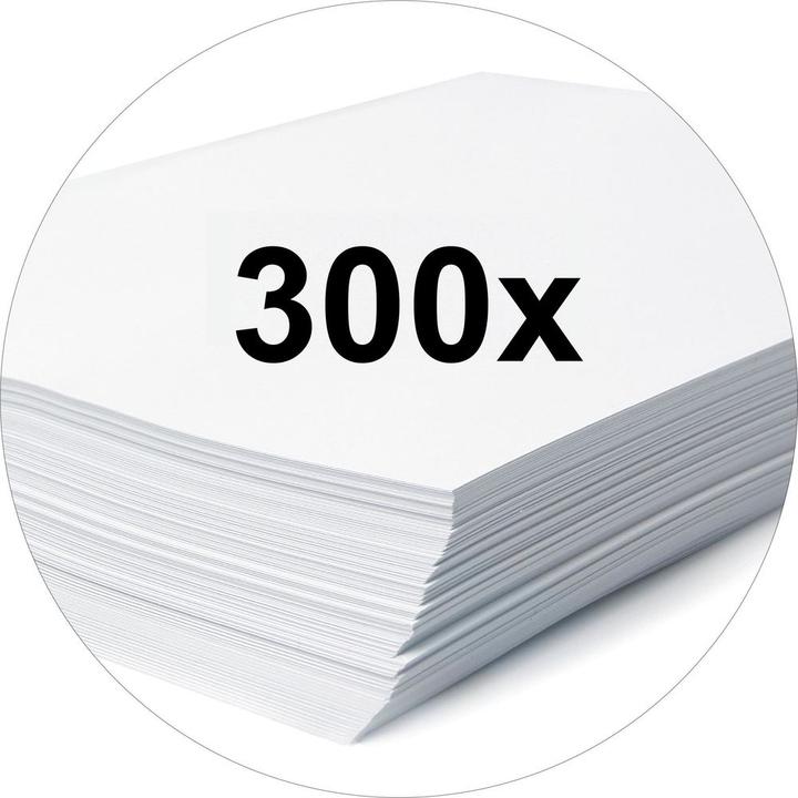 Immagine prodotto Biella Cartella federale (A4, 40 mm, 1 pz.)