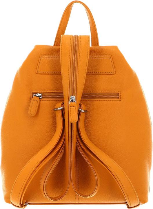 Image du produit Picard Luis Backpack